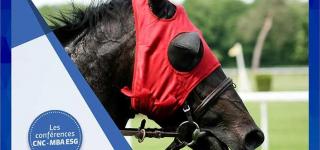conférence management coaching horse